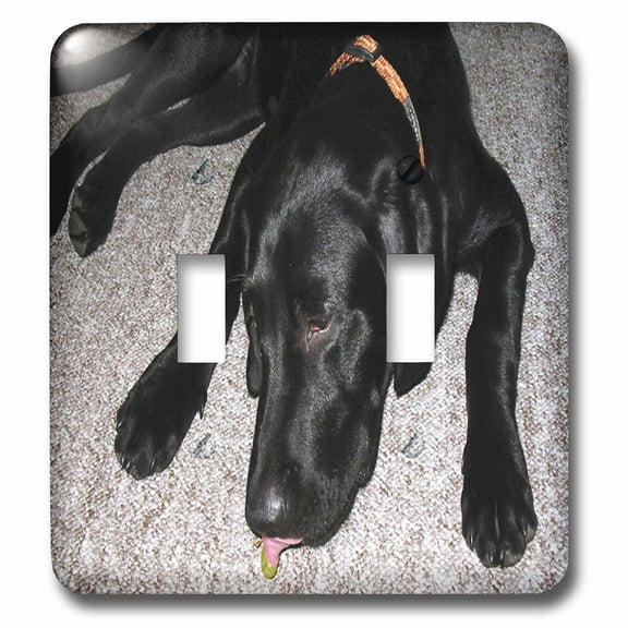 3dRose, Black Lab Eating Grape, double toggle switch