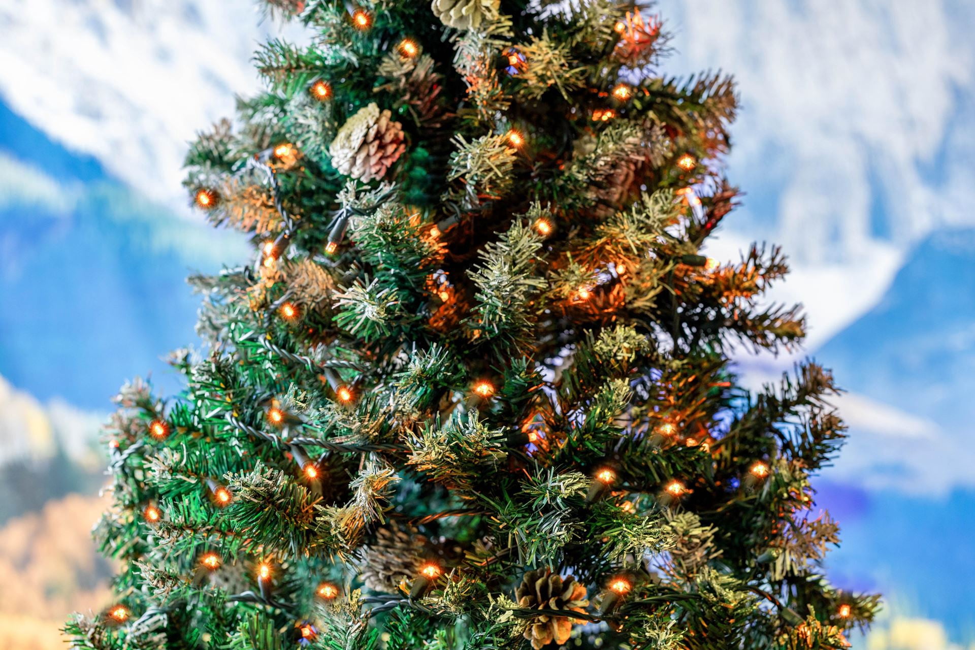 Novelty Lights 25FT 50 Light LED Orange, Outdoor String Lights, Corded Electric, Dimmable