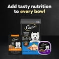 thumbnail image 6 of Cesar Filets in Gravy Beef and Chicken Flavors Variety Wet Dog Food, 1.76 oz Mini-Pouches, 40 Ct, 6 of 9
