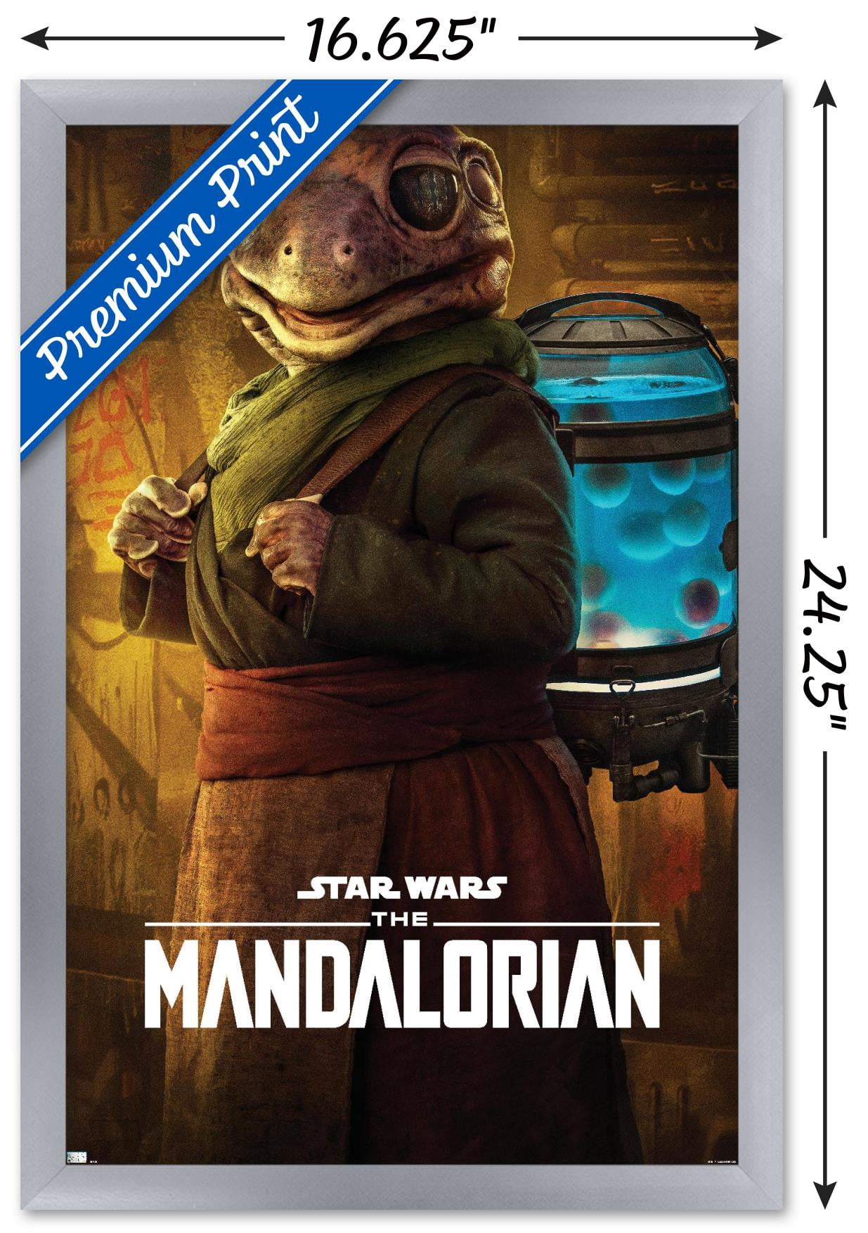 Star Wars: The Mandalorian Season 2 - Frog Lady Wall Poster, 14.725" x 22.375", Framed