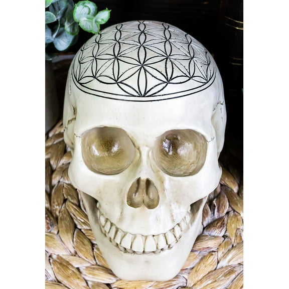 Gothic Sacred Geometry Flower Of Life Creation Cosmic Energy Skull Figurine