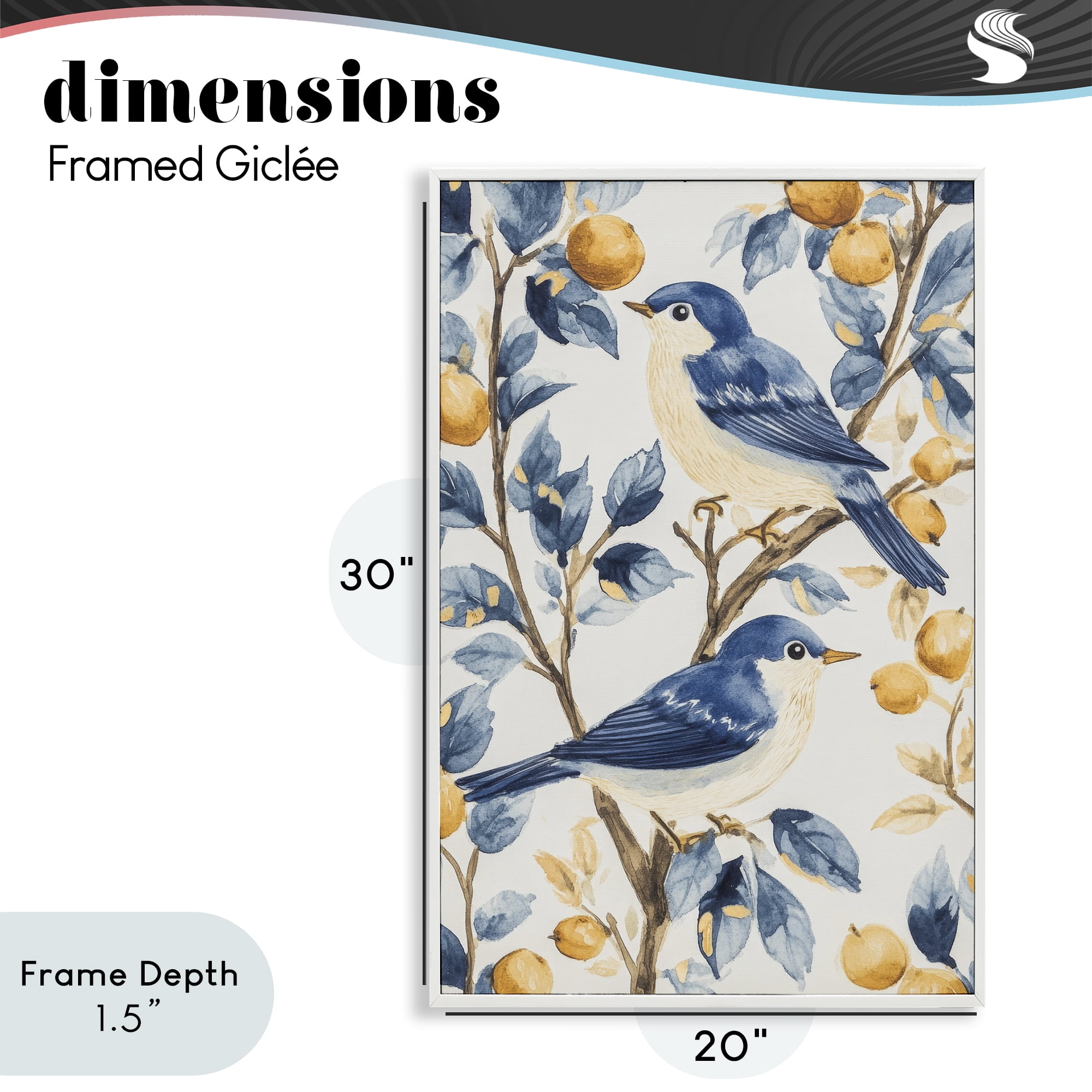 Stupell Industries Sweet Blue Birds on Lemon Branch White Framed Giclee Art, design by Petal Prints Design