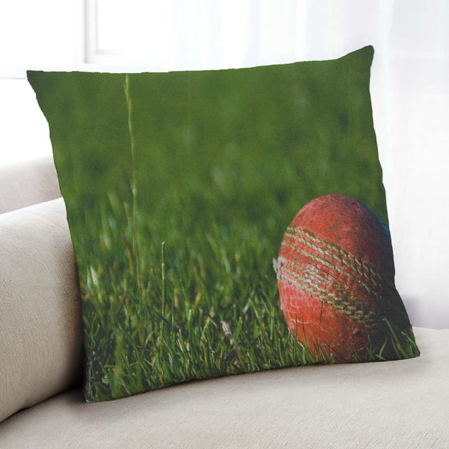 Ahgly Company Insects Cricket Coussin d'Intérieur, 18 Pouces par 18 Pouces