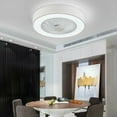 thumbnail image 3 of Denest 22in Acrylic Metal Modern LED Flush Mount Ceiling Fan, 3 of 12