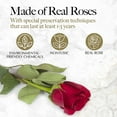 thumbnail image 4 of GLAMOUR BOUTIQUE Caja con Forma de Corazón de Flores Forever de 27 Piezas - Rosas Preservadas Rosas Inmortales que Duran un Año - Flores Preservadas de Rosas Eternas para Entrega Prime Día de la Madre, 4 of 9