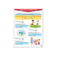 thumbnail image 1 of Póster Objeto Directo E Indirecto Educatodo B-0252-I, 1 of 3