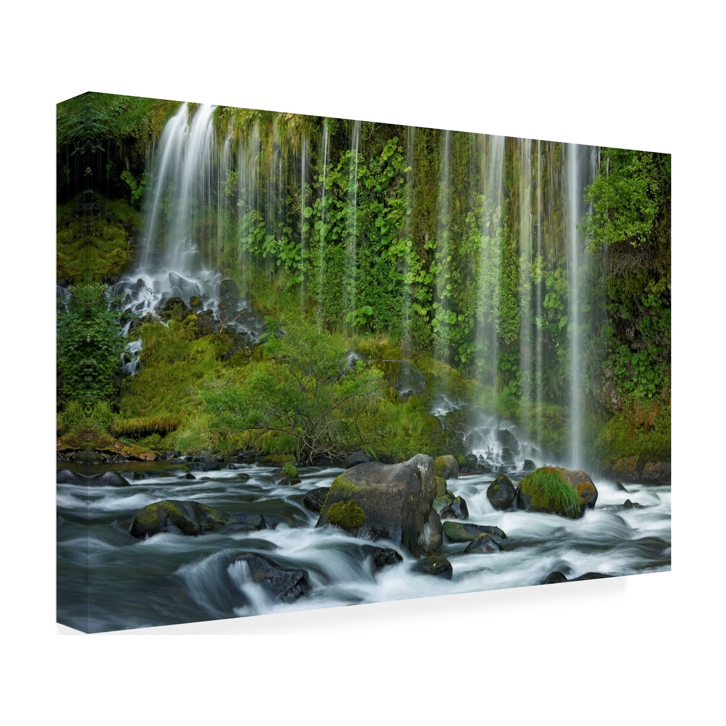 Trademark Fine Art Mike Jones Photo Mossbrae Falls Canvas Wall Art - 30x47