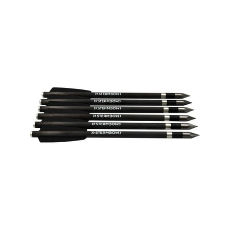 Steambow AR-Series Heavy Target Arrows 6 pcs Black Unisex