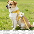 thumbnail image 2 of Dog Harness and Leash Set for Small Medium Dogs, Step in No Pull Soft Mesh Dog Harness Comfort Padded Pet Vest, Adjustable Reflective Easy Walking Puppy Cats Harness Training(Yellow,M), 2 of 4