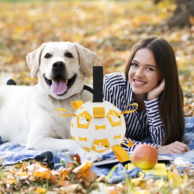 Wekvgz Jouet pour Chien Ballon de Soccer avec Sangles 6 Pouces Jouet Interactif Ballons Extérieur Jouet de Récupération Ballon de Soccer Rebondissant Jouet de Traction Réutilisable pour Chiots