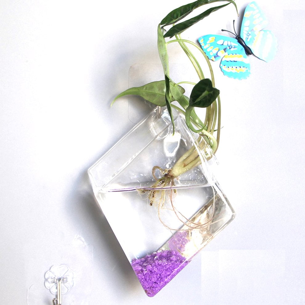 Wall Hanging Hydroponic Glass Vase Transparent Fish Tank Green