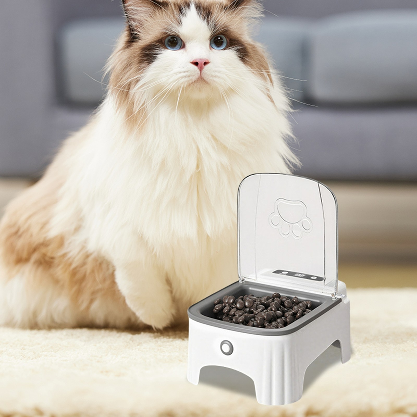 Smart Automatic Pet Feeder with Sensor Lid Opening and Programmable Timer for Cats and Dogs