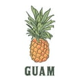 thumbnail image 3 of Guam, Pineapple, Icon, 3 of 3