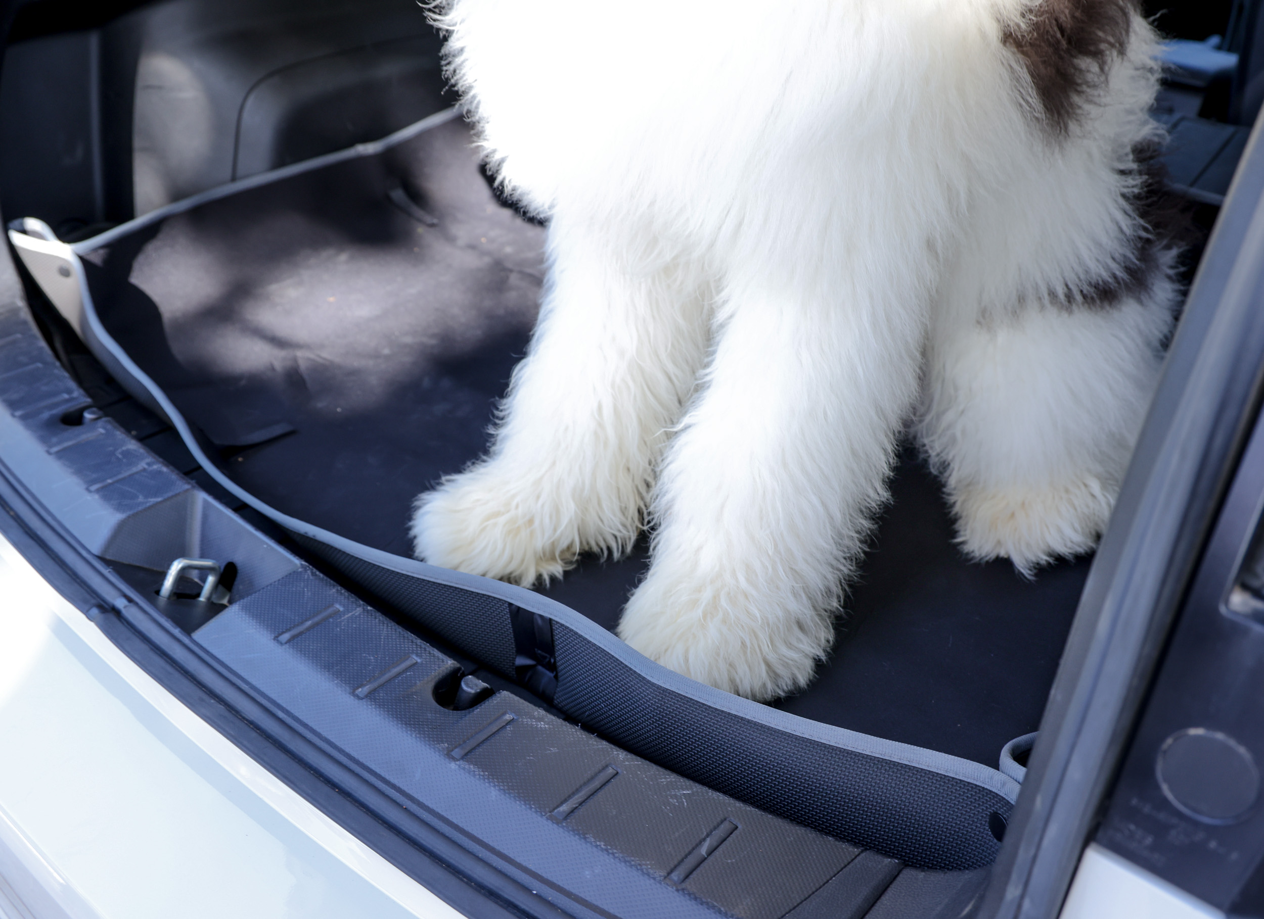 Auto Drive Waterproof Trunk Mat, Black photo 7