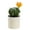 type:style4;, variant on Plastic pots, artificial tropical cactus, bonsai, creative small ornaments, artificial flowers and green plants - type:style4;