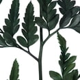 thumbnail image 3 of Vickerman 12-15" Fern Green Fern-Leatherleaf, 6 stems, Preserved, 3 of 4
