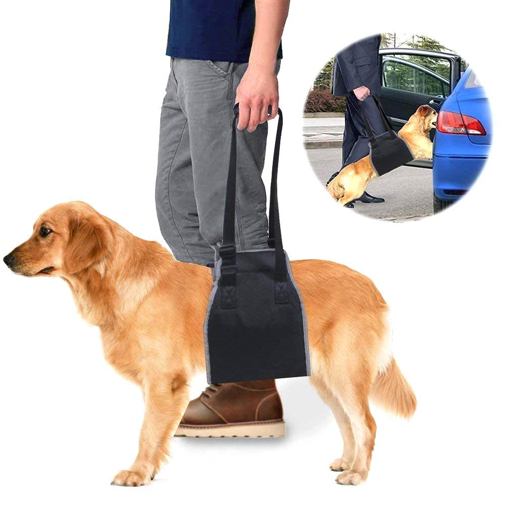 Roadwi Dog Lift Support & Rehabilitation Harness, Oxford and Nylon Pad