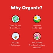 Once Upon a Farm Organic Refrigerated Kids Snack Strawberry Banana Swirl Dairy-Free Smoothie, 4oz Pouch (4 Pack)