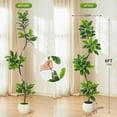 thumbnail image 6 of 5/6/7ft Artificial Fiddle Leaf Fig Tree, Faux Rubber Tree with Sphere Planter, Tall Indoor Plants with Moss for Home, Living Room, Office, and Décor, 6 of 8