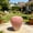 Pink, variant on WRXELAN 13.39-inch Red Strawberry Stool (Side View), Strawberry Side Table Garden Sculpture, Indoor and Outdoor Decor