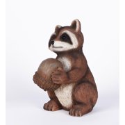 Racoon Holding Acorn