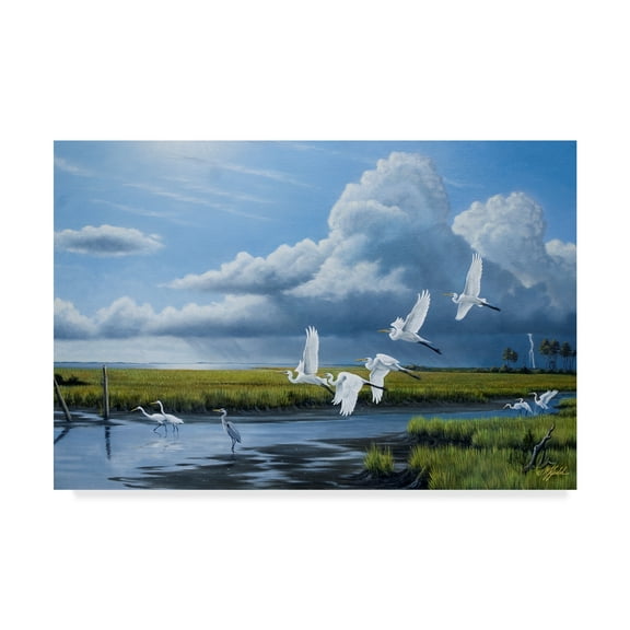 Trademark Fine Art 'Summer Storm Egrets' Canvas Art by Wilhelm Goebel