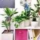 thumbnail image 3 of Cuadros Decorativos 2 piezas diamante pintura flor planta decoración palo Animal bordado adornos Tmvgtek embutido en tela, 3 of 7