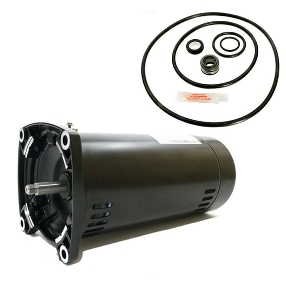 Puri Tech Sta-Rite Dura-Glas 1HP P4RA6E-186L Replacement Motor Kit AO Smith USQ1102 w/ GO-KIT-38