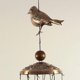 thumbnail image 4 of Wind Chimes for Birds - 4 Hollow Aluminum Tubes - Wind Bells and Birds - Wind Chime with S-Hook for Indoor and Outdoor, 4 of 4