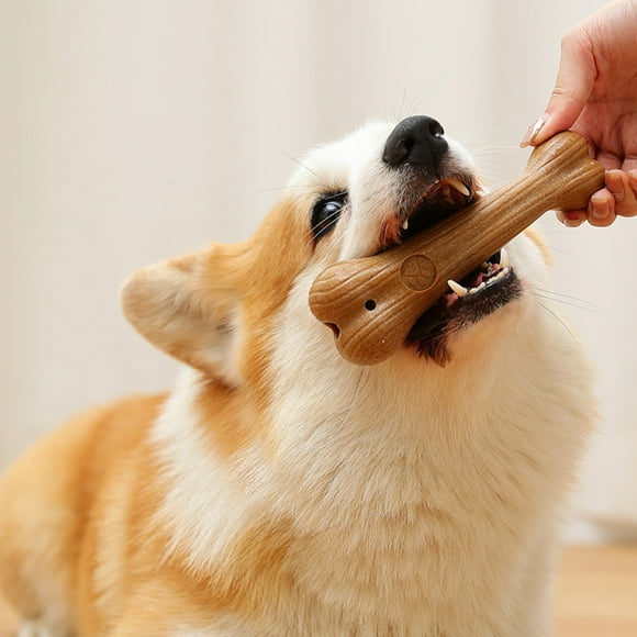 Pisexur Suministros para mascotas Pet Chew Toys Dog Teething Stick Deodorant Wear Proof Bit Fixed Teeth Natural Wood Glue Stick Bones Can Be Stuffed Snacks Plastic Teethiperros, gatos y animales