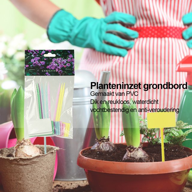 10/12 Uds. Etiqueta de semillas de plantas marcadoras para jardinería/invernadero (cuadrado de 12CM)