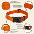 thumbnail image 4 of Country Brook Petz® Everyday Orange Nylon Dog Collar, 2XS, 4 of 5