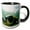 Black/White, variant on 3drose, Pacific Green or Black Sea Turtle Feeding on Algae Punta Cormorant Floreana Island Galapagos, 11oz Mug