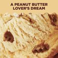 thumbnail image 5 of REESE’S Peanut Butter Light Ice Cream with Reese's Peanut Butter Cups and Peanut Butter Swirl, 16 oz Pint, 5 of 9