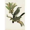thumbnail image 3 of Unknown 13x18 Black Modern Framed Museum Art Print Titled - Antique Bird Trio I, 3 of 5