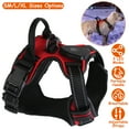 thumbnail image 4 of Teqhome Light Up Dog Harness LED No Pull Dog Harness Rechargeable Lighted Dog Vest Harness for Night Walking Adjustable Glowing Vest for 8.82-16.53lbs Dogs (Red, S), 4 of 12