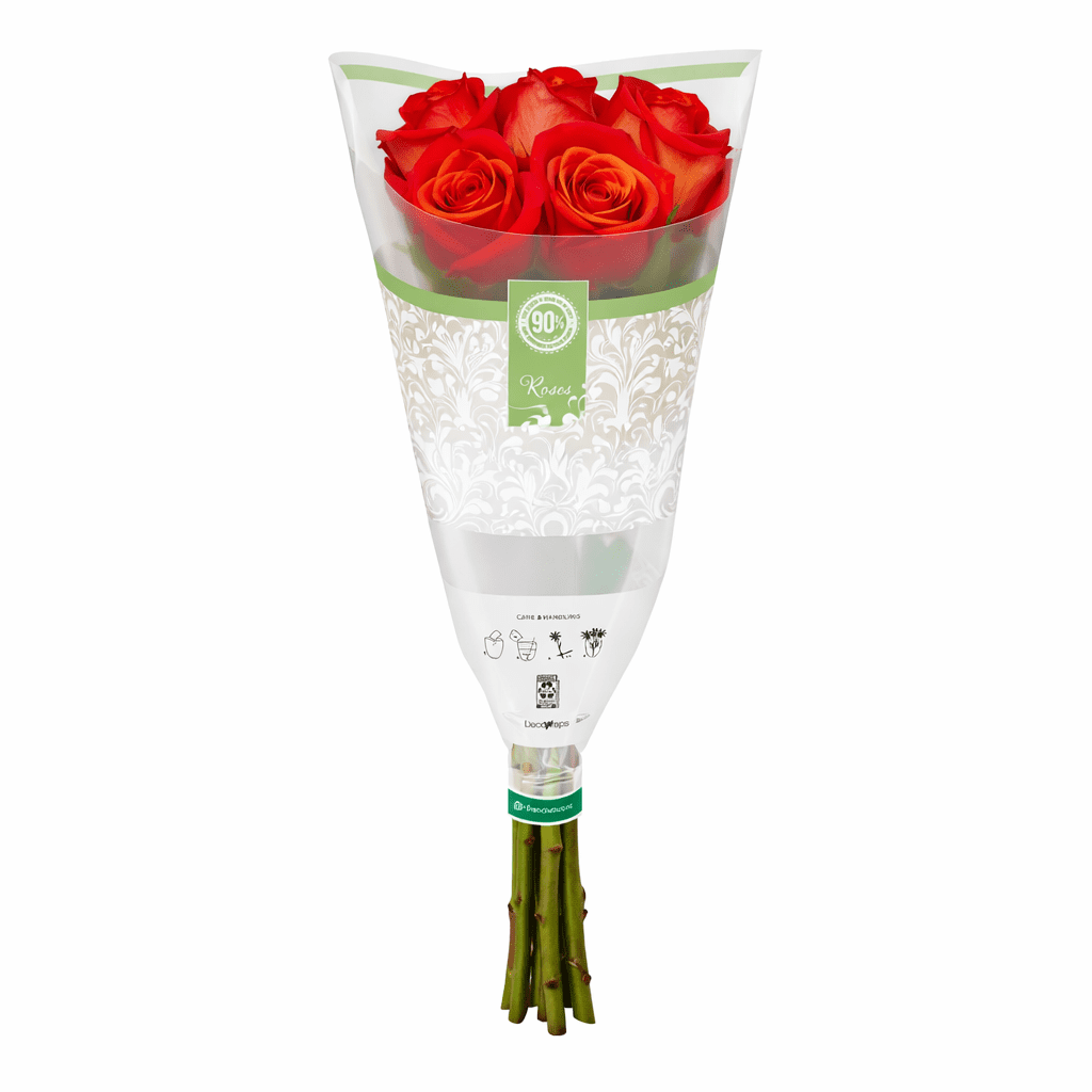 Assorted Color Roses 6 Stem, Colors May Vary
