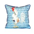 thumbnail image 1 of Betsy Drake SN133B 12 x 12 Po Coq Blanc Script Petit Oreiller Intérieur et Extérieur, 1 of 4