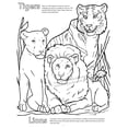 Zoo Animals Really Big Coloring Book - Walmart.com