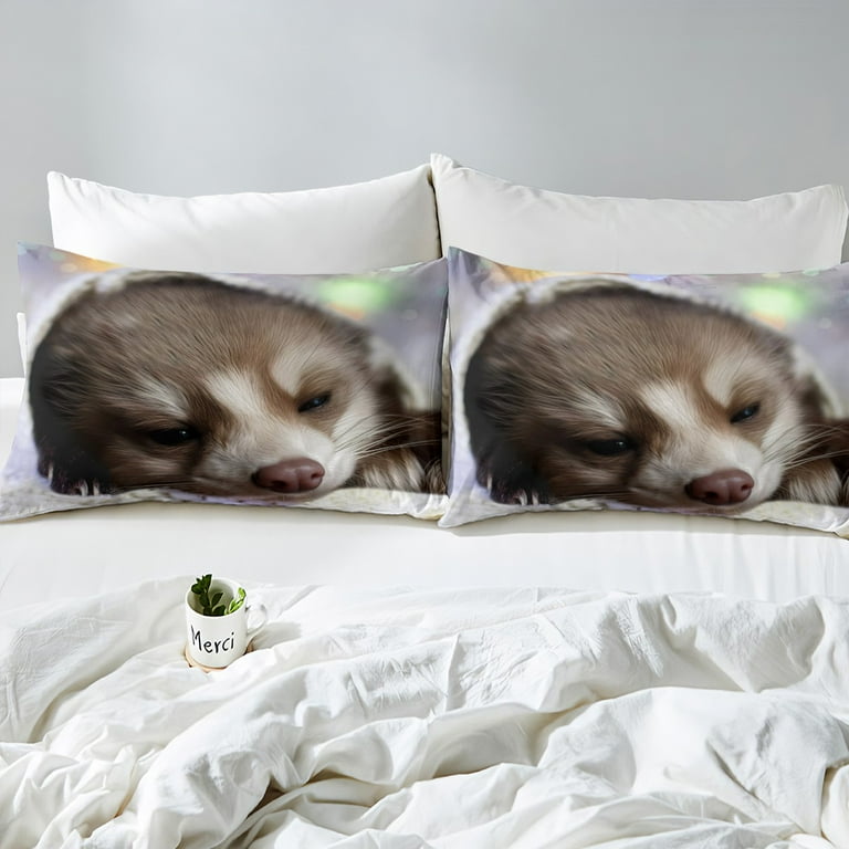 Ferret bedding walmart online