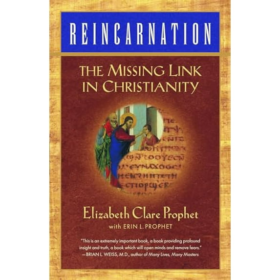 Pre-Owned Reincarnation: The Missing Link In Christianity (Paperback) 0922729271 9780922729272