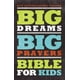 NIV, Grands Rêves, Grandes Prières Bible pour les Enfants – image 1 sur 1