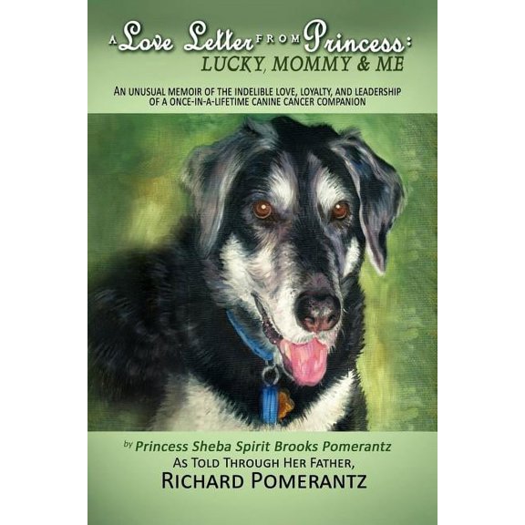 A Love Letter from Princess (Paperback)