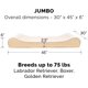 thumbnail image 3 of Orthopedic Dog Bed for Large/Medium Dogs w/ Removable Washable Cover, For Dogs Up to 38 lbs - Ultra Plush Faux Fur & Suede Luxe Lounger Contour Mattress - Gray, Large, 3 of 5