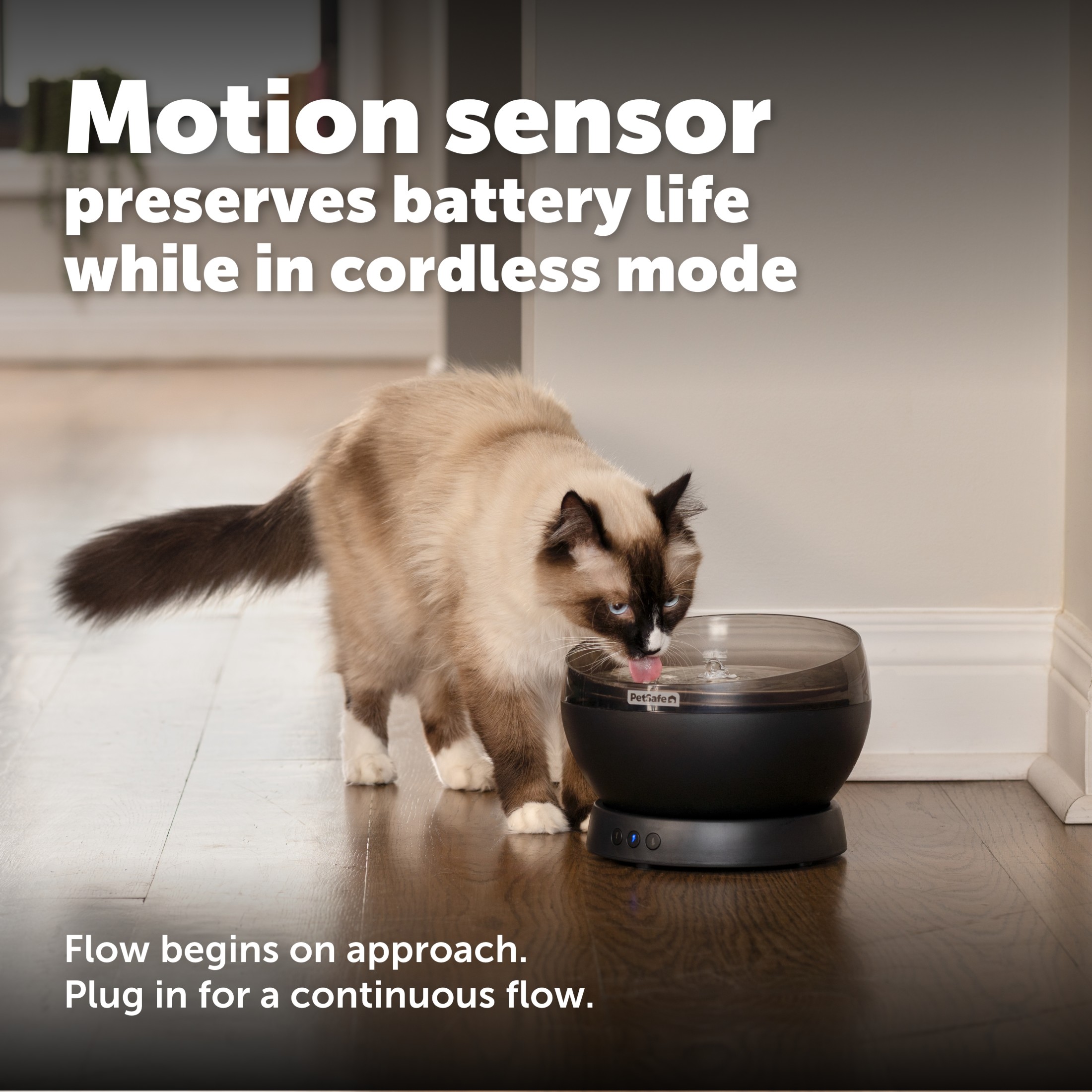 PetSafe HydroSphere Cordless Pet Fountain photo 5