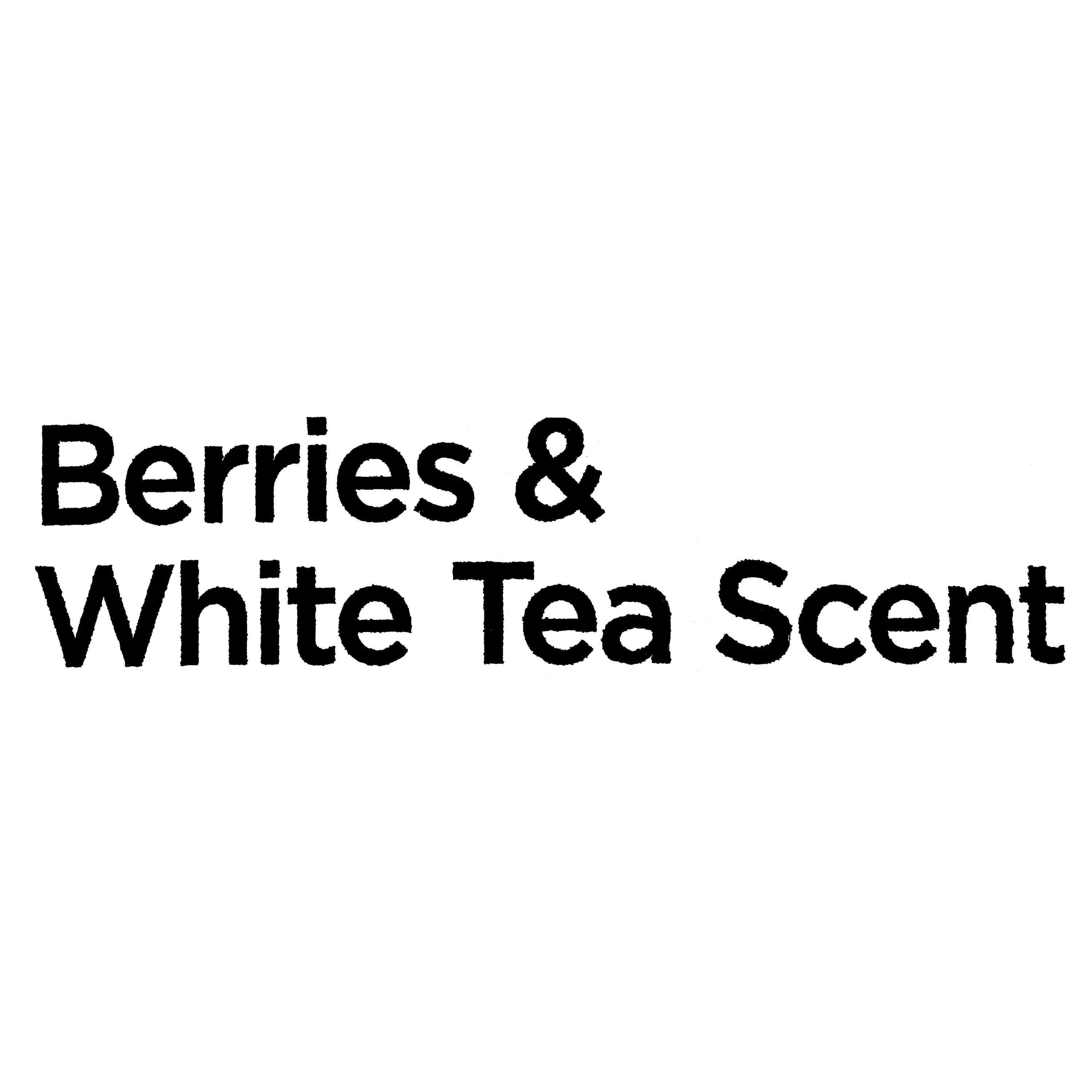 Equate Antibacterial Liquid Hand Soap, Berries and White Tea, 50 fl oz
