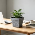 thumbnail image 6 of Yakvarog 8" Square Plastic Flower Pots with Tray, Vintage Embossed Vine Planter, Lightweight Durable Ceramic-Look Pot for Indoor Outdoor Plants, Succulents, Herbs, Home Garden Decor, 6 of 6