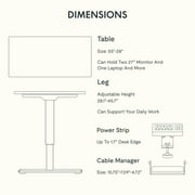 FLEXISPOT 55 x 28 Home Office Electric Height Adjustable Standing Desk Memory Programmable Presets Computer Desk White