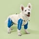 thumbnail image 1 of Chubasquero para perros, poncho impermeable para cuatro patas, peluche, pomi, ropa para mascotas para días lluviosos, perros pequeños y medianos, Bixiong, 1 of 6