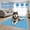 15.74" x 11.5" (S), variant on Summer Pet Cooling Pad Dog Bed,Highly Recommended by Pet Experts,Breathable Mesh Bed,Keeps Your Cat Or Dog Cool And Comfortable All Summer Long, Suitable for Small, Medium, And Large Pets
